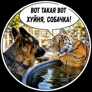 Telegram profile photo for Вот такая вот хуйня, собачка