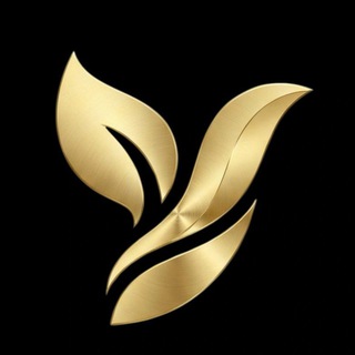 Telegram profile photo for Youthify Hub