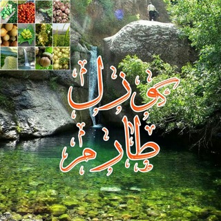 Telegram profile photo for 🌴🌿طارم نیوز🌿🌴