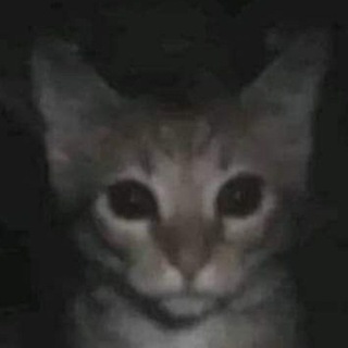 Telegram profile photo for геролин