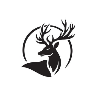 Telegram profile photo for KvantDev