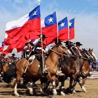 Telegram profile photo for 🇨🇱 Defiende Chile
