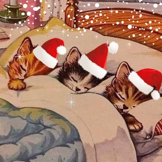 Telegram profile photo for грибница антихайпа