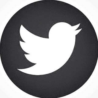 Telegram profile photo for iTwitti | توییتر فارسی