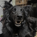 Telegram profile photo for Раф на кокосовом и Симко