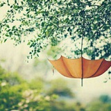 Telegram profile photo for همسات مبعثره