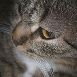 Telegram profile photo for ВСЕ НА СВОЇХ МІСЦЯХ