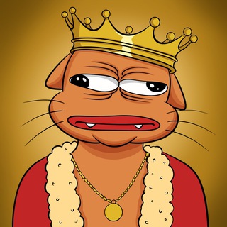 Telegram profile photo for $SNOOK ~ PORTAL