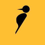 Telegram profile photo for Health Research Stories