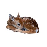 Telegram profile photo for rusa!