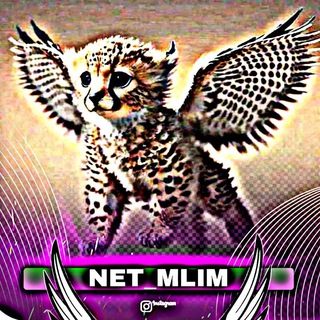 Telegram profile photo for ɴᴇᴛ᭄ᴍʟɪ
