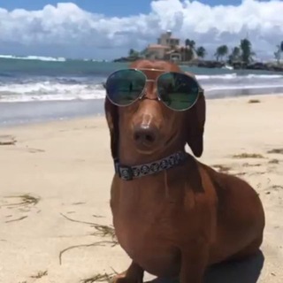 Telegram profile photo for 5 складок розоволосых