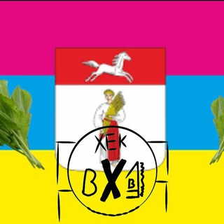 Telegram profile photo for Сквад Шполянського двіжняку🤟