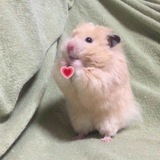 Telegram profile photo for кутакбас