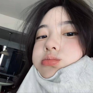 Telegram profile photo for 港湾
