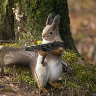 Telegram profile photo for БелкаMс