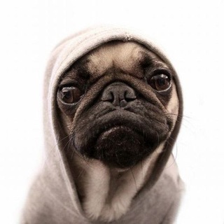 Telegram profile photo for Подарки от rev'a