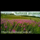 Telegram profile photo for Лечебные травы
