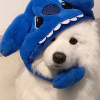 Telegram profile photo for 永乐集团-VlP交流群