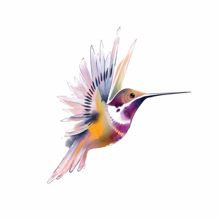 Telegram profile photo for Colibri Tribe Inspirations..