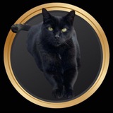 Telegram profile photo for Pepito Portal