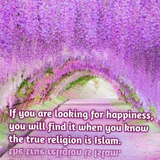 Telegram profile photo for Islam is the religion of happiness✨🌍الإسلام دين السعادة