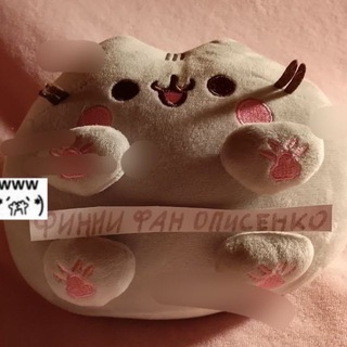 Telegram profile photo for Финни