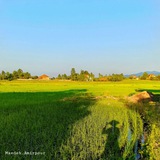 Telegram profile photo for | مَـزهی نور |