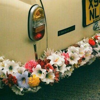 Telegram profile photo for نيروز