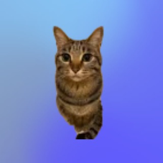 Telegram profile photo for Mishun's porting stuff