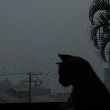 Telegram profile photo for Akord