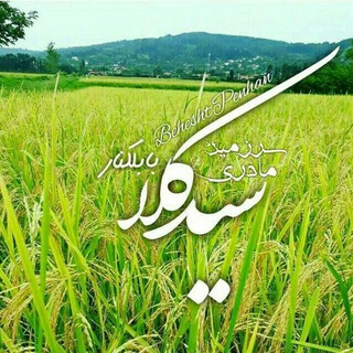 Telegram profile photo for 🌷سیدکلای زیبا🌷