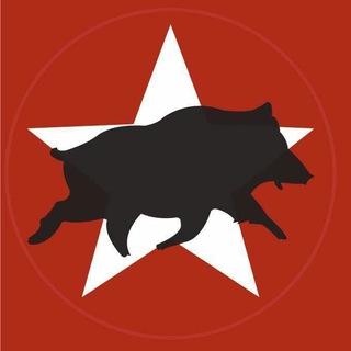 Telegram profile photo for CDR-HG