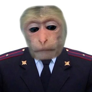 Telegram profile photo for Верховный суд