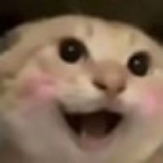 Telegram profile photo for Vaner's Street
