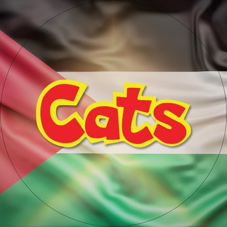 Telegram profile photo for GENG CATS