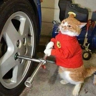 Telegram profile photo for Adam's Cats Garage