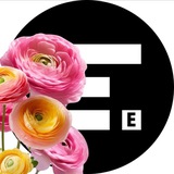 Telegram profile photo for • E-STUFF