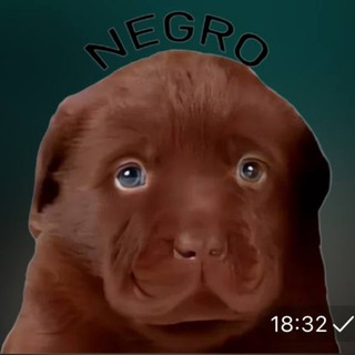 Telegram profile photo for NEGRO