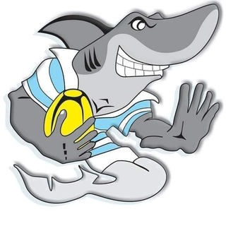 Telegram profile photo for Pro Recco Rugby official