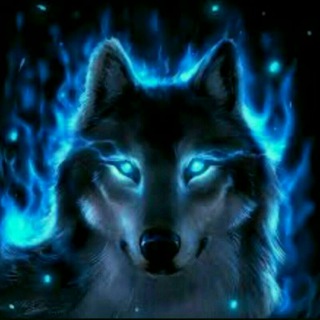 Telegram profile photo for Proxy Service️ Telegram