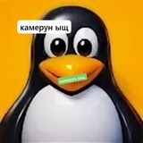 Telegram profile photo for manycane