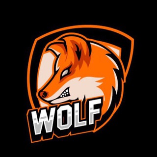 Telegram profile photo for The CryptoWolf ™