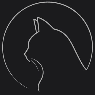 Telegram profile photo for 🐱CAT TEAM🐱