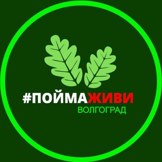 Telegram profile photo for ПоймаЖиви