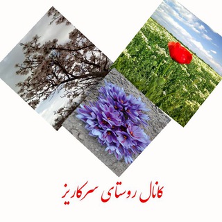 Telegram profile photo for روستای سرکاریز