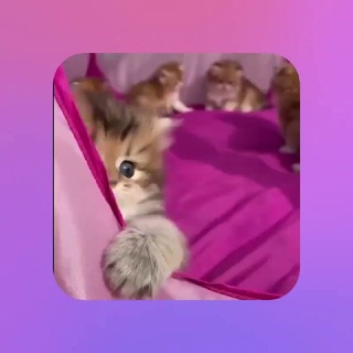 Telegram profile photo for Отзовик RASStore👻