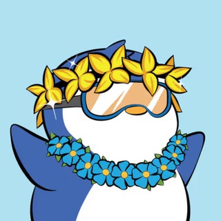 Telegram profile photo for 0xNickcrypto