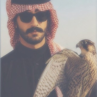 Telegram profile photo for 𝙰𝚕-𝙴𝚗𝚎𝚣𝚒| 𓄂َِ🇸🇾
