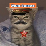 Telegram profile photo for Жизнь Соляночки